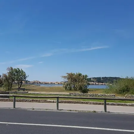 T2